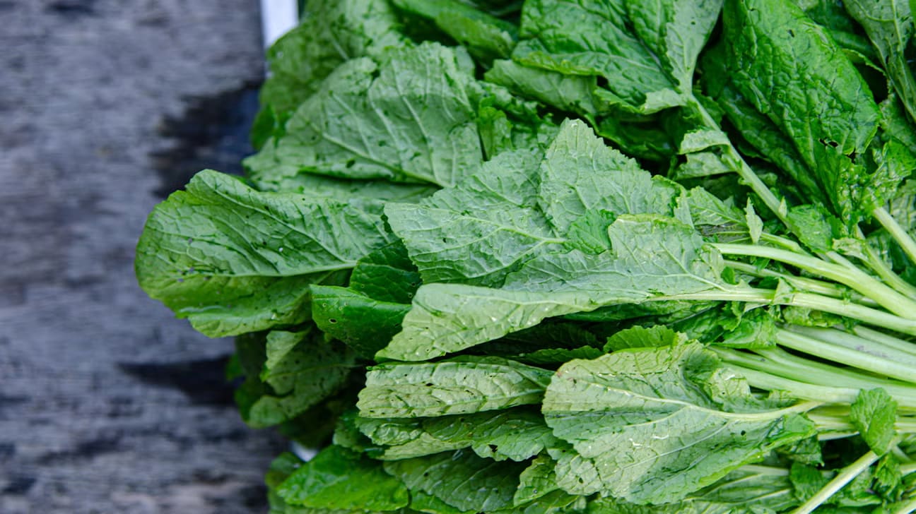 Large dark green mustard